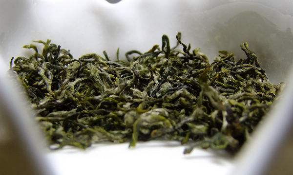 Dongting Mountain Tea Farms & Markets-suzhou Dongting Mountain Tea Farms & Markets-suzhou